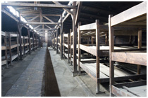 Auschwitz Gallery
